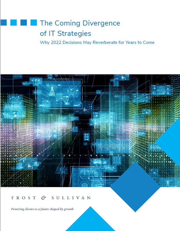 The Coming Divergence of IT Strategies Article