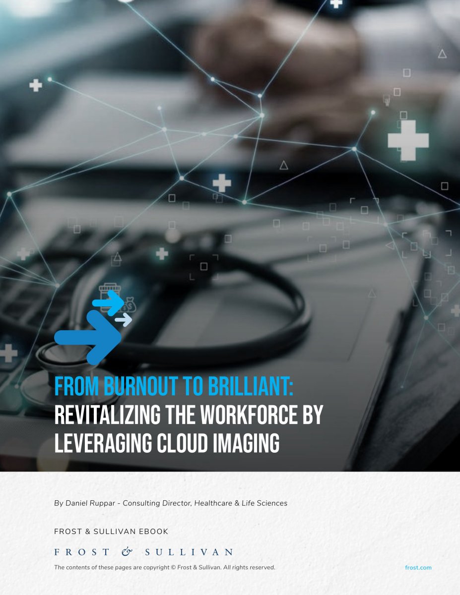 Cybersecurity for Financial Services, a Frost & Sullivan Executive Brief